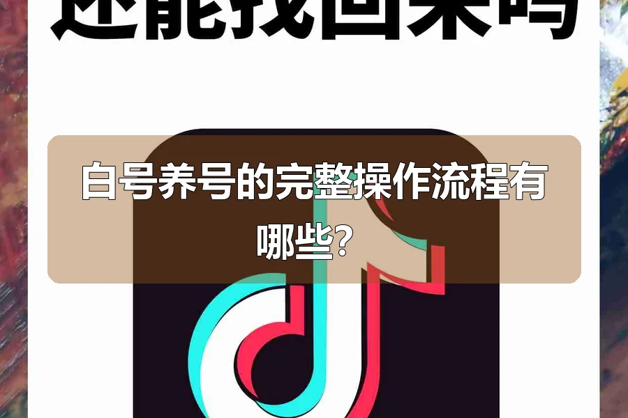 白号养号的完整操作流程有哪些？